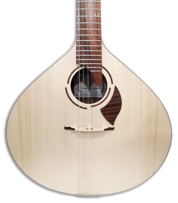 Foto de la tapa y roseta de la guitarra portuguesa APC 308LS