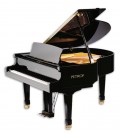Piano de Cauda Petrof P159 Bora Standard Series
