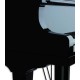 Photo detail of the body of the Grand Piano Petrof P159 Bora