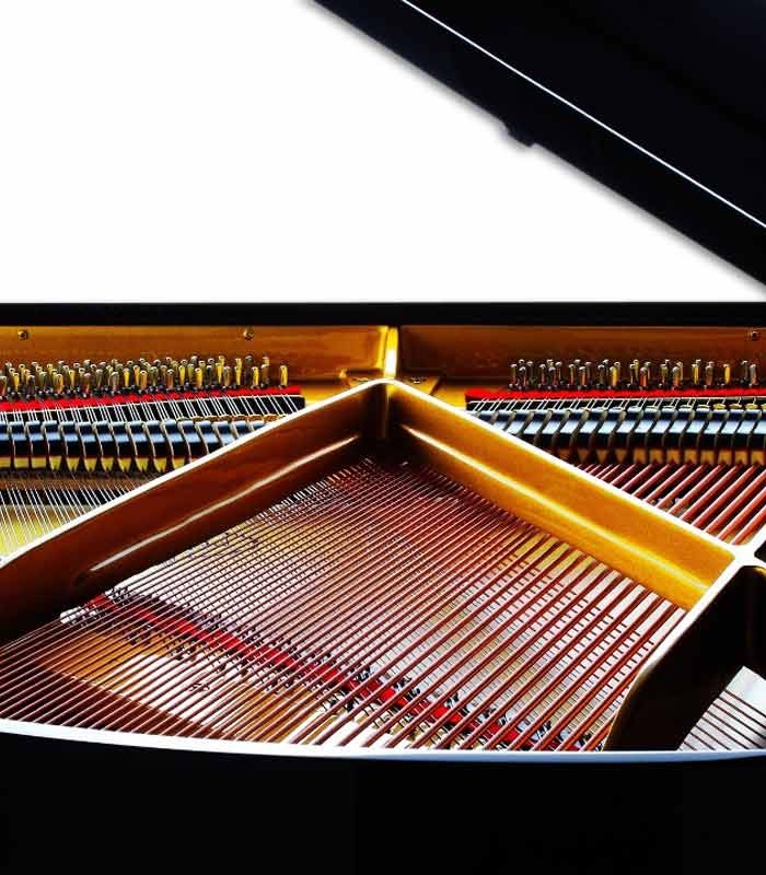 Foto detalle del interior del Piano de Cola Petrof P159 Bora