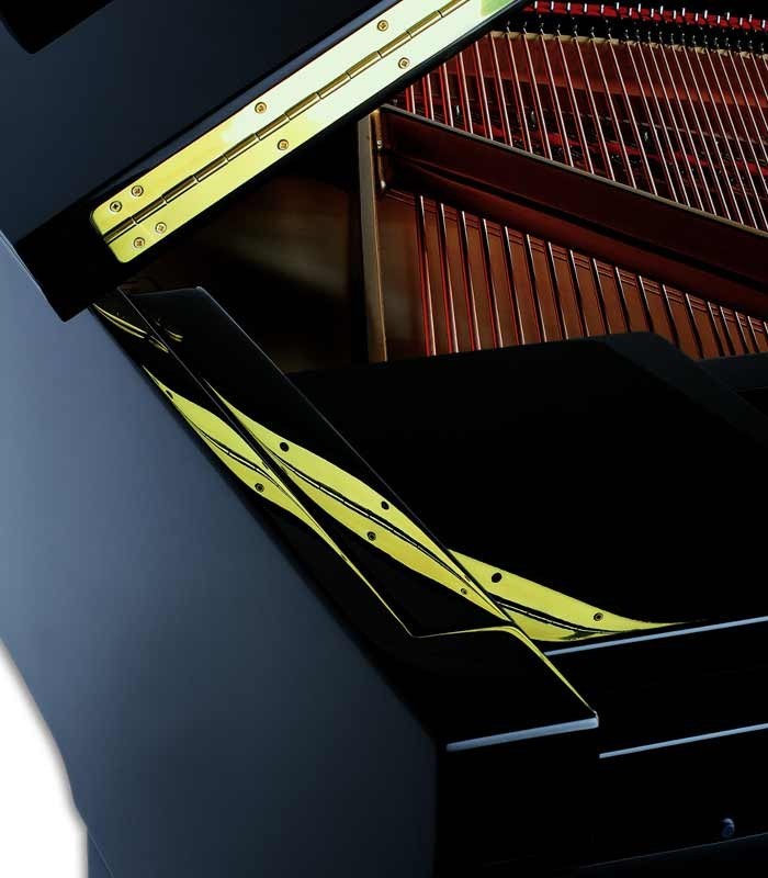 Photo detail of the cover and body of the Grand Piano Petrof P159 Bora