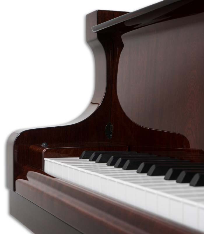 Photo detail of the keyboard of the Grand Piano Petrof P173 Breeze