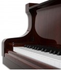 Foto detalhe do teclado do Piano de Cauda Petrof P173 Breeze