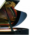 Foto detalhe do móvel do Piano de Cauda Petrof P194 Storm