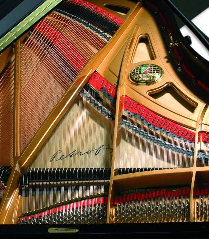 Photo detail of the interior of the Grand Piano Petrof P194 Storm