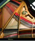 Foto detalhe do interior do Piano de Cauda Petrof P194 Storm