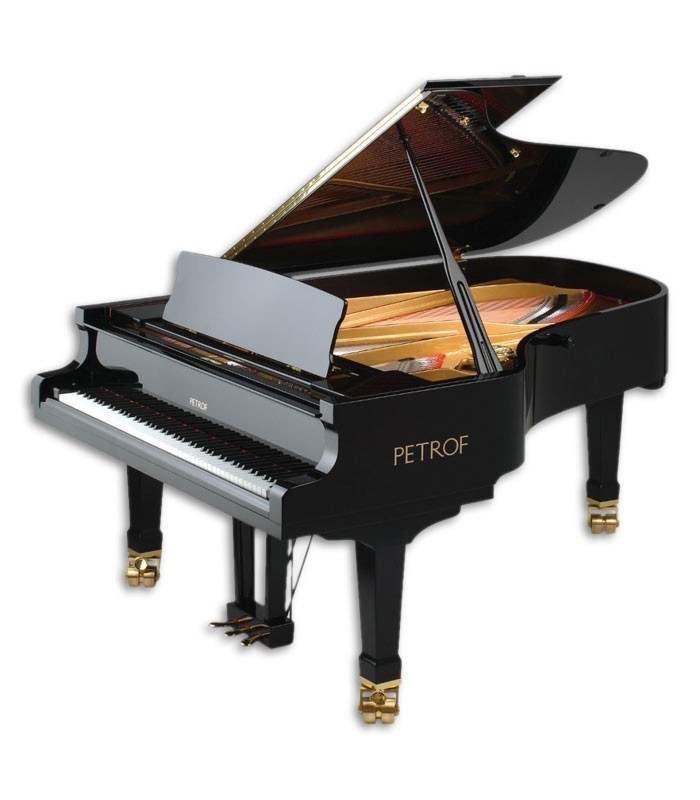 Photo of the Grand Piano Petrof model P210 Pasat from the Master Series front and in three quarters