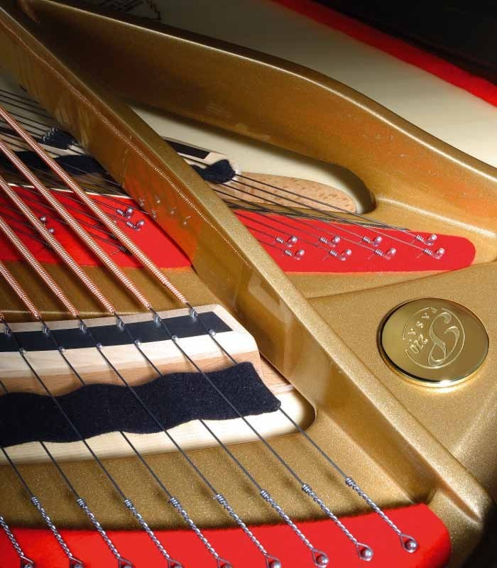 Photo detail of the interior of the Grand Piano Petrof P210 Pasat