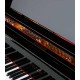 Photo detail of the keyboard and body of the Grand Piano Petrof P237 Moonsoon