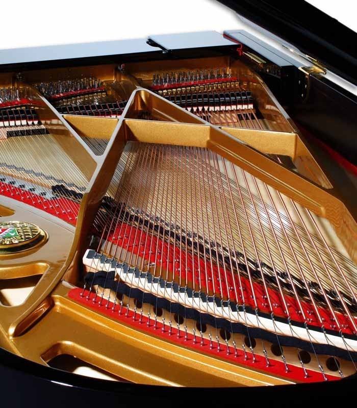 Foto do interior do Piano de Cauda Petrof P237 Moonsoon