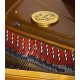 Photo detail of the interior and pins of the Grand Piano Petrof P237 Moonsoon
