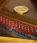 Foto detalhe do interior e cravelhas do Piano de Cauda Petrof P237 Moonsoon