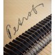 Foto detalhe do tampo harmónico com o nome da marca no Piano de Cauda Petrof P173 Breeze Demichipendale