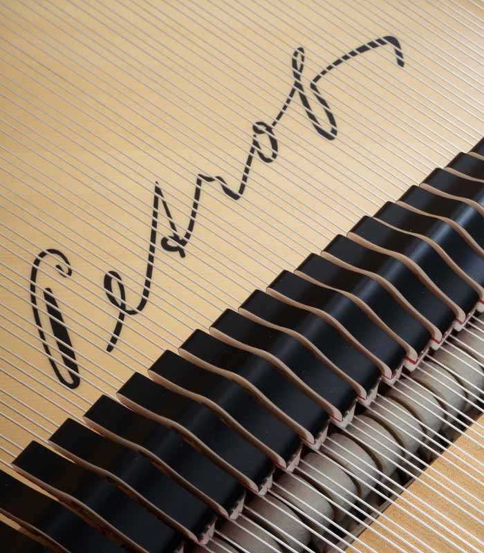 Foto detalhe do tampo harmónico com o nome da marca no Piano de Cauda Petrof P173 Breeze Demichipendale