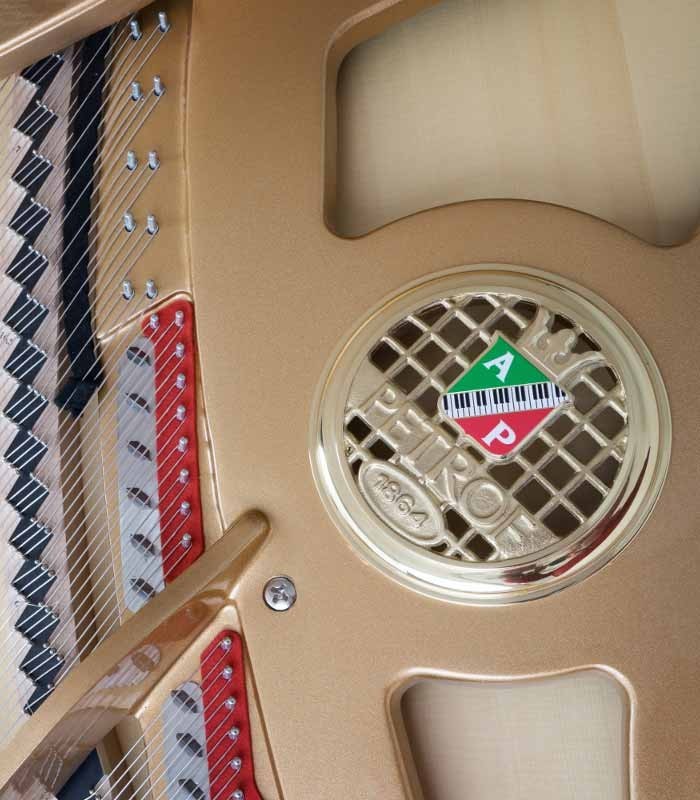 Foto detalhe do interior do Piano de Cauda Petrof P173 Breeze Demichipendale
