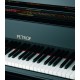 Foto detalhe do teclado e logo do Piano de Cauda Petrof P284 Mistral