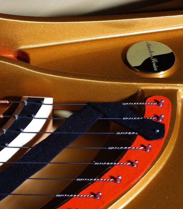 Photo detail of the interior and of the Master Series tag of the Grand Piano Petrof P284 Mistral
