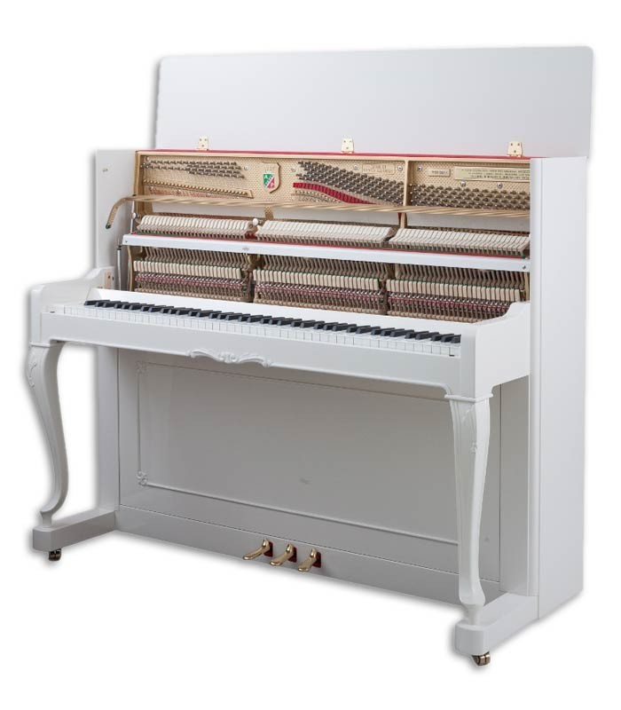 Photo of the Upright Piano Petrof P118 C1 with the action exposed
