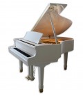 Foto do Piano de Cauda Petrof P173 Breeze com acabamento em branco