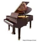 Foto do Piano de Cauda Petrof P173 Breeze com móvel de mogno