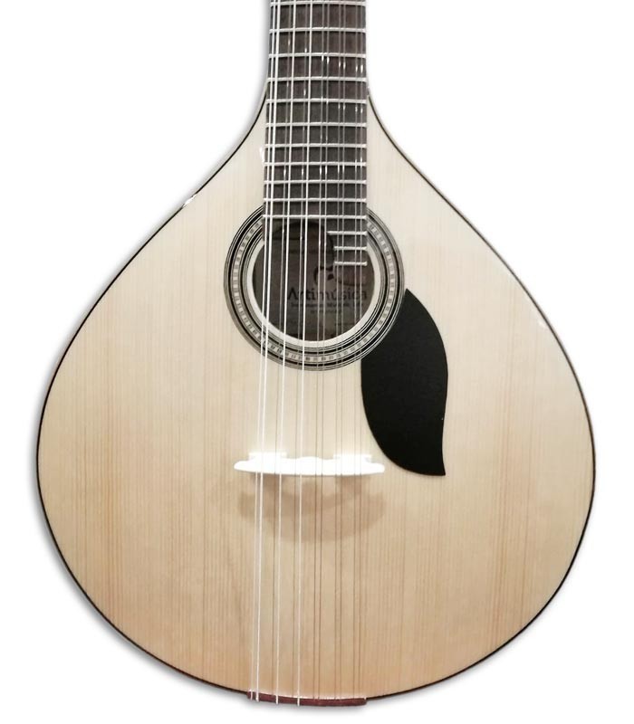 Foto de la tapa y roseta de la Guitarra Portuguesa Artimúsica GP70CCAD Coimbra