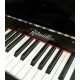 Piano Vertical Ritmuller AEU118S PE Silent Classic 118cm Preto Polido 3 Pedais
