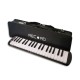 Photo of the Melodica Record M 37 Black with case