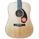 Photo of the top and rosette of the Acoustic Guitar Fender CD 60S Dreadnought Natural
