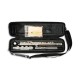 Photo of the Flute Taylor Collins model FL 1 Standard and accessories inside the case