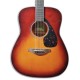 Foto do tampo e roseta da Guitarra Folk Yamaha modelo FG800