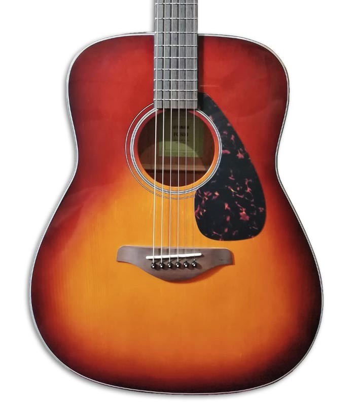 Foto de la tapa y roseta de la Guitarra Folk Yamaha modelo FG800