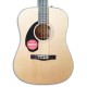 Photo of the top and rosette of the Acoustic Guitar Fender model CD 60S LH Dreadnought