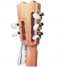 Foto del clavijero del Cavaquinho Rajão Madeirense APC 550