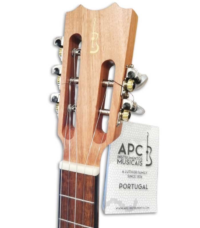 Foto de la cabeza del Cavaquinho Rajão Madeirense APC 550