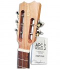 Foto de la cabeza del Cavaquinho Rajão Madeirense APC 550