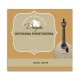Photo of the cover of the package of the Dragão Portuguese Guitar String 864