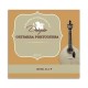 Single String Dragão 863 .011 B Steel for Portuguese Guitar
