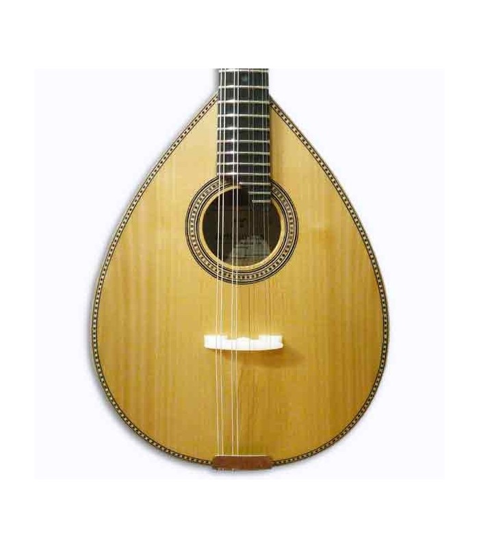 Cuerpo de la mandolina Artimúsica BD40TL