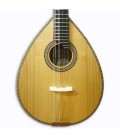 Cuerpo de la mandolina Artimúsica BD40TL