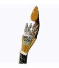 Body of mandolin Artimúsica BD40TL