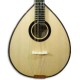 Mandolina Artimúsica BD41TC Medio Lujo Tapa Spruce Clavijero