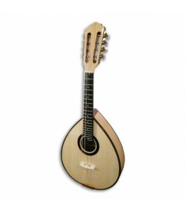 Mandolina Artimúsica BD41TC Medio Lujo Tapa Spruce Clavijero