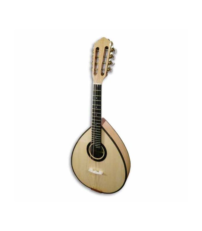 Mandolina Artimúsica BD41TC Medio Lujo Tapa Spruce Clavijero