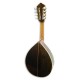 Back of mandolin Artimúsica 40430