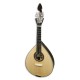 Mandolin Artimúsica BD42TL Spruce Top Luxe Fan