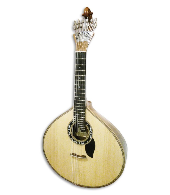 Photo of the portuguese guitar Artimúsica GP71L
