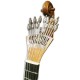 Foto del clavijero abanico de la guitarra portuguesa Artimúsica GP71L