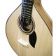 Photo detail of the Artimúsica Portuguese Guitar GP71C rosette