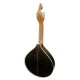 Photo of the Coimbra portuguese guitar GP73C back