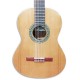 Corpo da guitarra clássica Paco Castillo 201